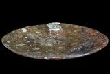 Oval Shaped Fossil Goniatite Dish #73970-1